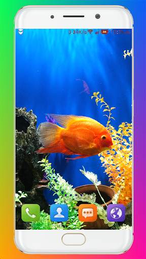 Aquarium Wallpaper HD screenshot 8