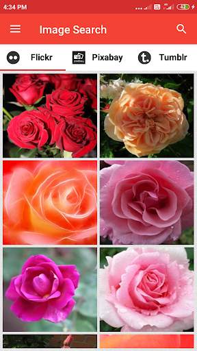 Image Search App screenshot 1