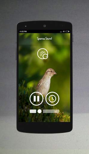 Bird Sounds screenshot 4