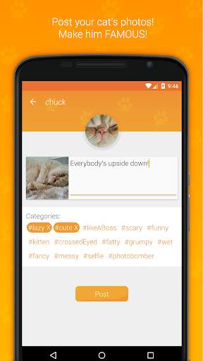 Hashcat - Cat's social network screenshot 7