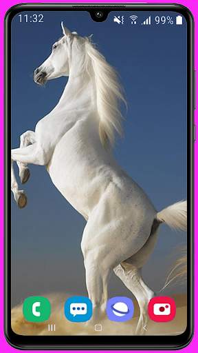 Horse Wallpaper Best HD screenshot 4