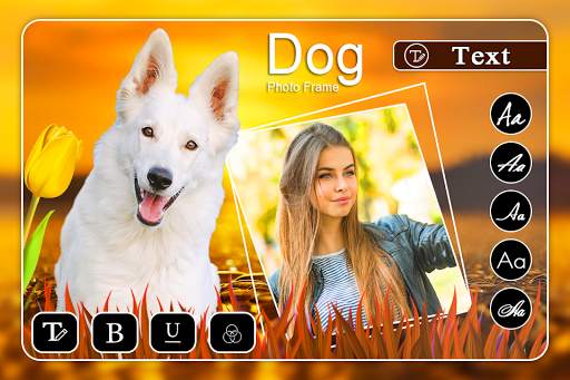 Dog Photo Frame screenshot 2