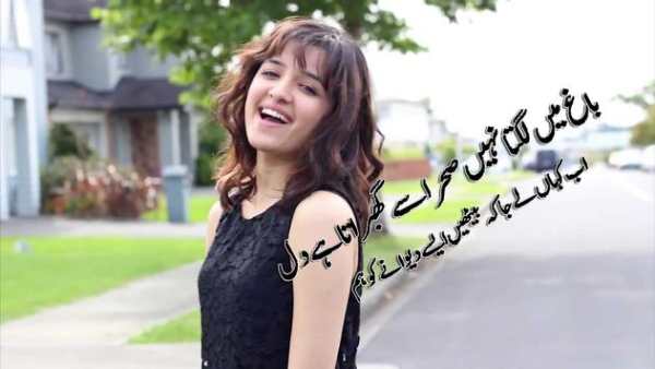 إطارات الشعر في صور 12 تصوير الشاشة