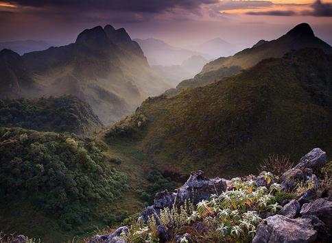 Thailand Wallpapers screenshot 8