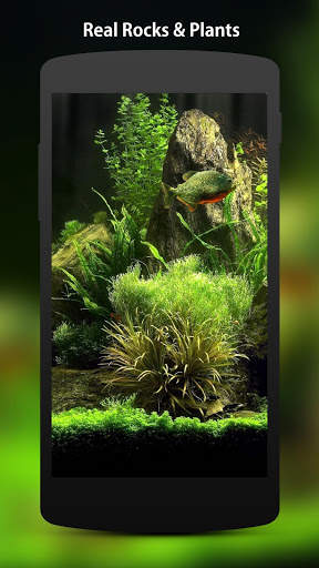 3D Fish Aquarium Wallpaper HD screenshot 2