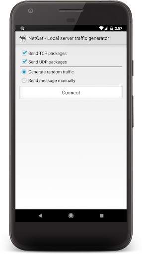 NetCat for Android Pro screenshot 2