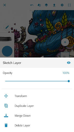 Adobe Photoshop Sketch screenshot 3