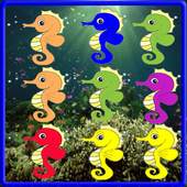 Seahorse Match 3 Game 1.0