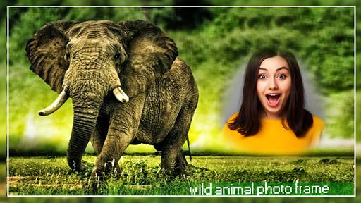 Wild Animal Photo Editor : Animal Photo Frames New screenshot 6