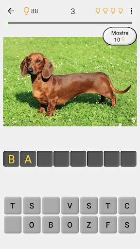 Cani - Foto-quiz sulle razze canine popolari screenshot 2