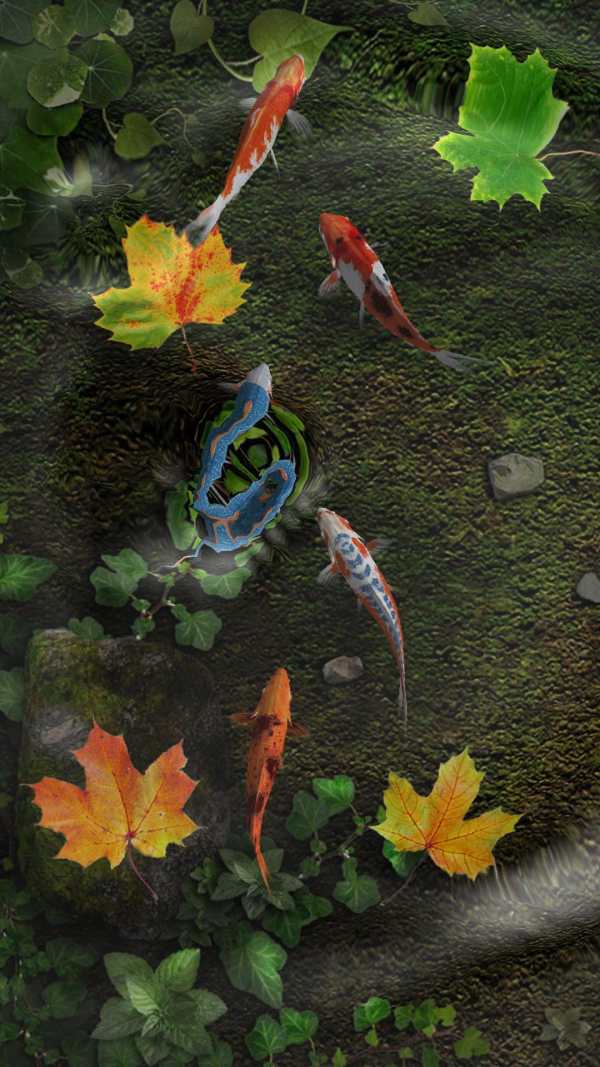 Water Koi Fish Pond LWP screenshot 6