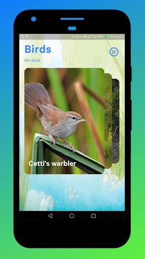 Bird Sounds screenshot 4