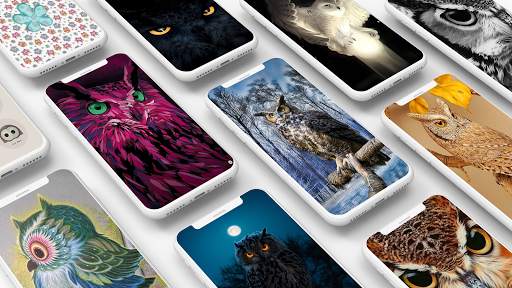 Owl Wallpaper screenshot 1