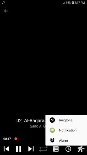 Saad Al Ghamidi Full Quran Offline MP3 2020 screenshot 3