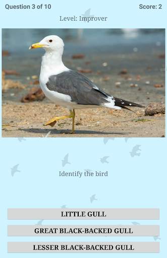 British Birds ID Quiz Pro screenshot 20