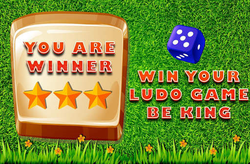 Ludo Game : Classic screenshot 4