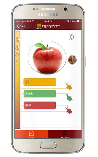 Tibetan English Chinese Vocabulary Lite screenshot 3