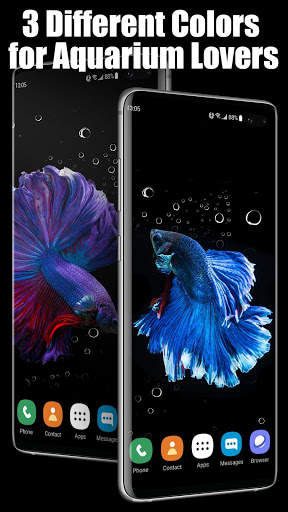3D Betta Fish Live Wallpaper screenshot 3