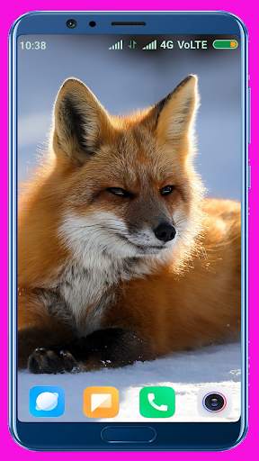 Fox Wallpaper Best 4K screenshot 2