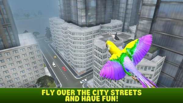 City Bird Parrot Simulator 3D screenshot 5