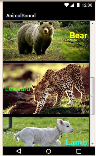 Animal Sounds screenshot 1