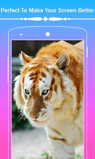Tiger Hd Wallpapers screenshot 8