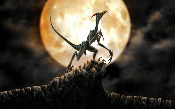 Dinosaur Live Wallpaper (Wallpapers & Backgrounds) screenshot 10