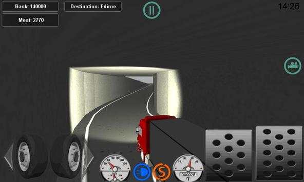Real Trucker LM 3D screenshot 6