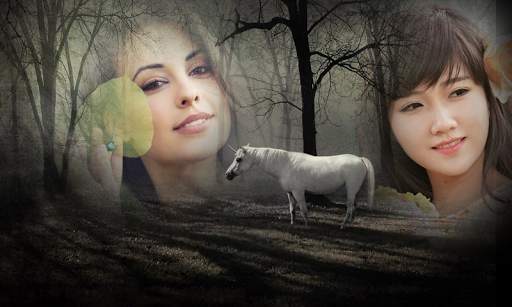 Forest Multi Photo Frame screenshot 1