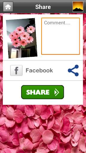 Flowers Camera screenshot 4