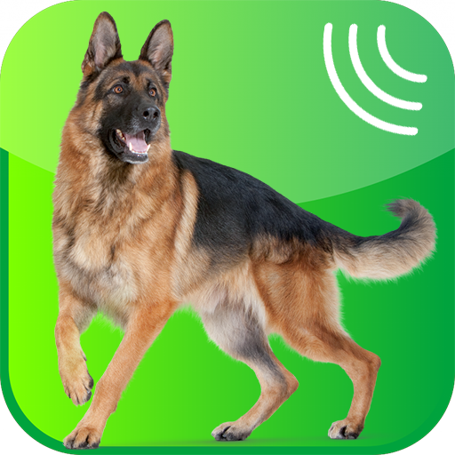 ikon Dog Whistle, Trainer 2019