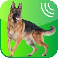 Dog Whistle, Trainer 2019 on 9Apps