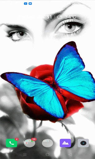 Butterfly Eyes Live Wallpaper screenshot 2