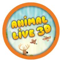 Animal Live 3D