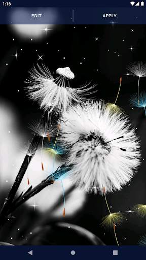 Dandelion Live Wallpaper screenshot 8
