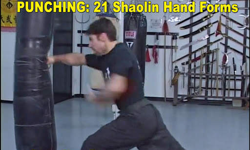 Shaolin Kung Fu screenshot 9