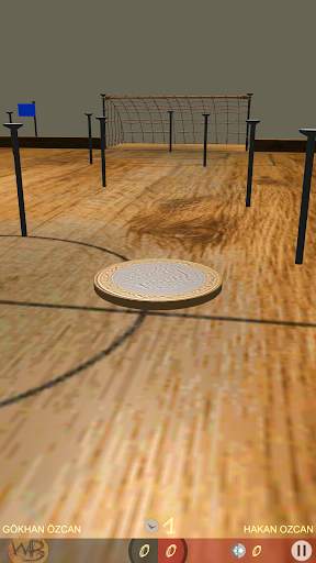 WoodBall screenshot 4
