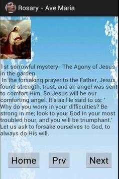 Virtual Rosary Catholic screenshot 4