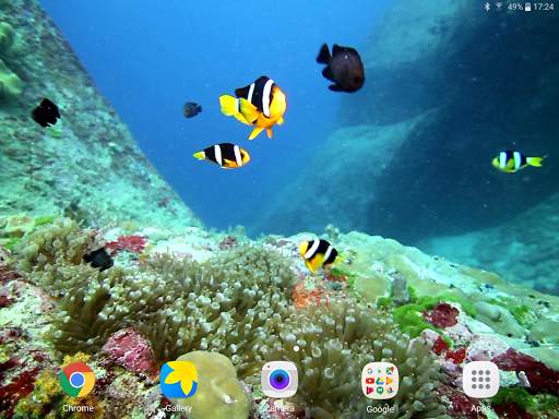 Colorful Fishes Live Wallpaper 9 تصوير الشاشة