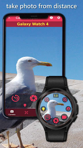 Camera Opus screenshot 1