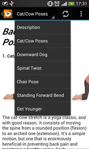 Back Pain Yoga Poses screenshot 4