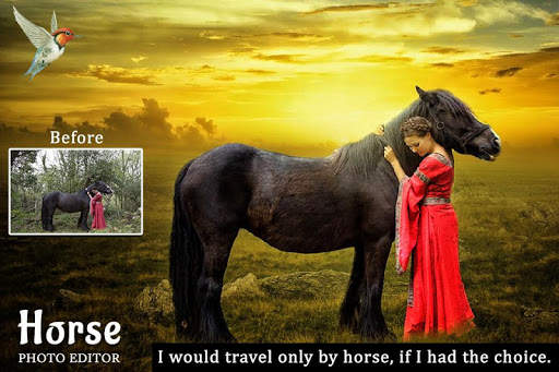 Horse Photo Editor screenshot 5