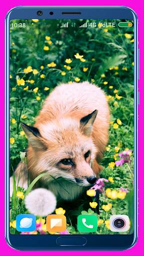 Fox Wallpaper Best 4K screenshot 13