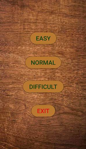 Puzzle Game screenshot 1