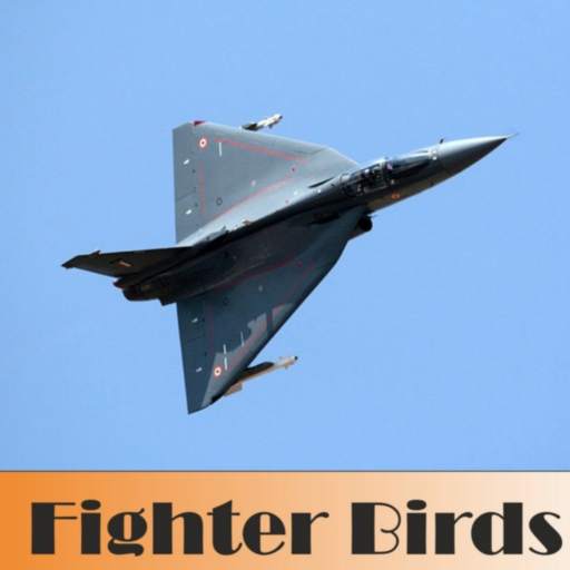 Fighter Birds 1.2