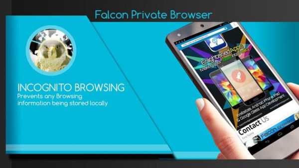 Falcon Private Browser screenshot 7