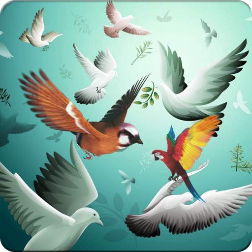 Bird Wallpaper HD 1.0.3