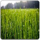 Galaxy S5 HD Live Wallpaper 1.03