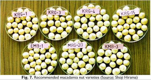 KALRO Macadamia Nut screenshot 3