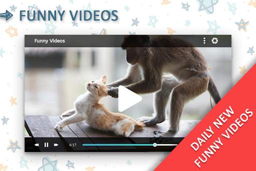 Funny Videos screenshot 4
